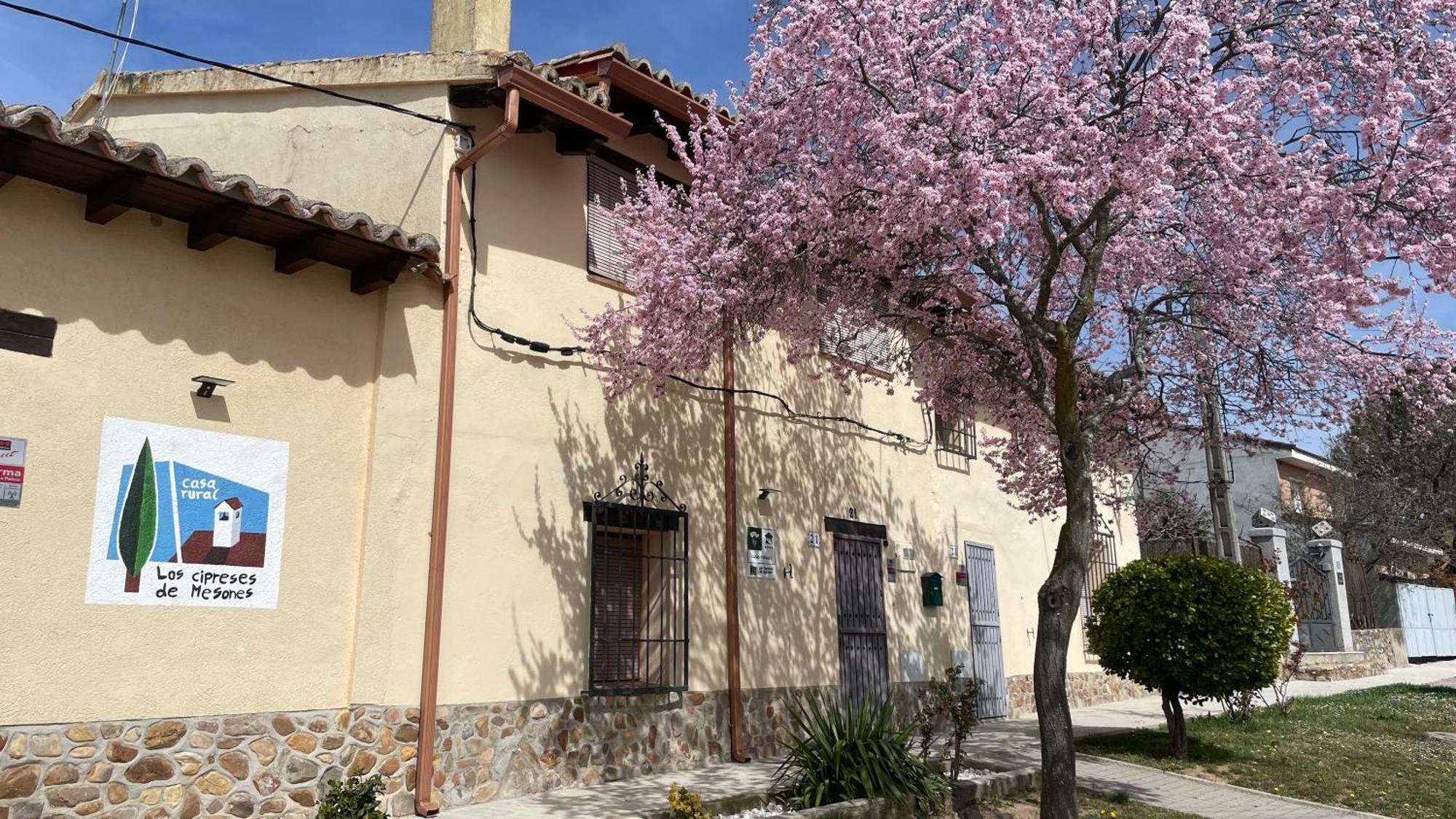Los Cipreses De Mesones Mesones  Exterior foto